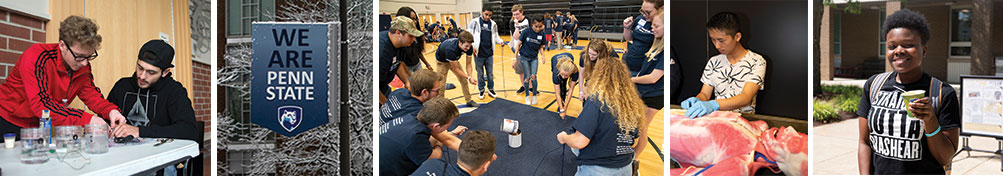 Four photos of students doing activities around campus. 