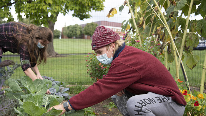 Students picking items from the garden.